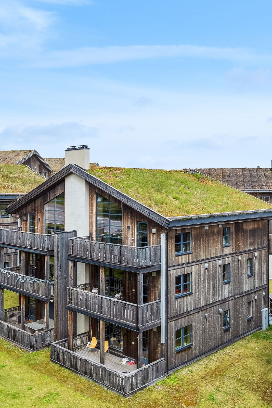 Alpine Suite